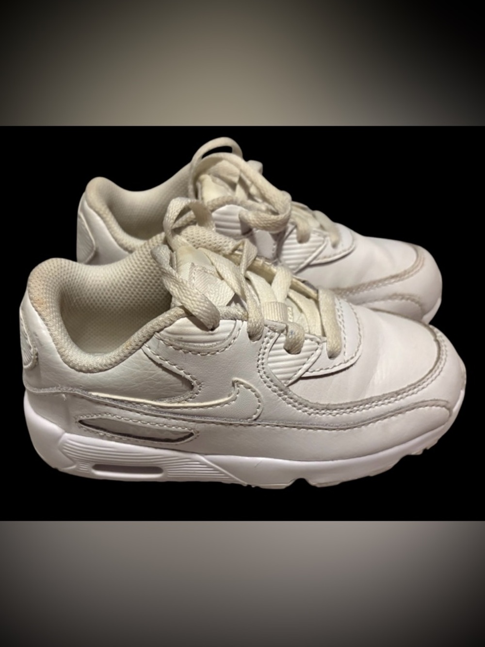 Nike Air Max Sneakers - Classic Comfort